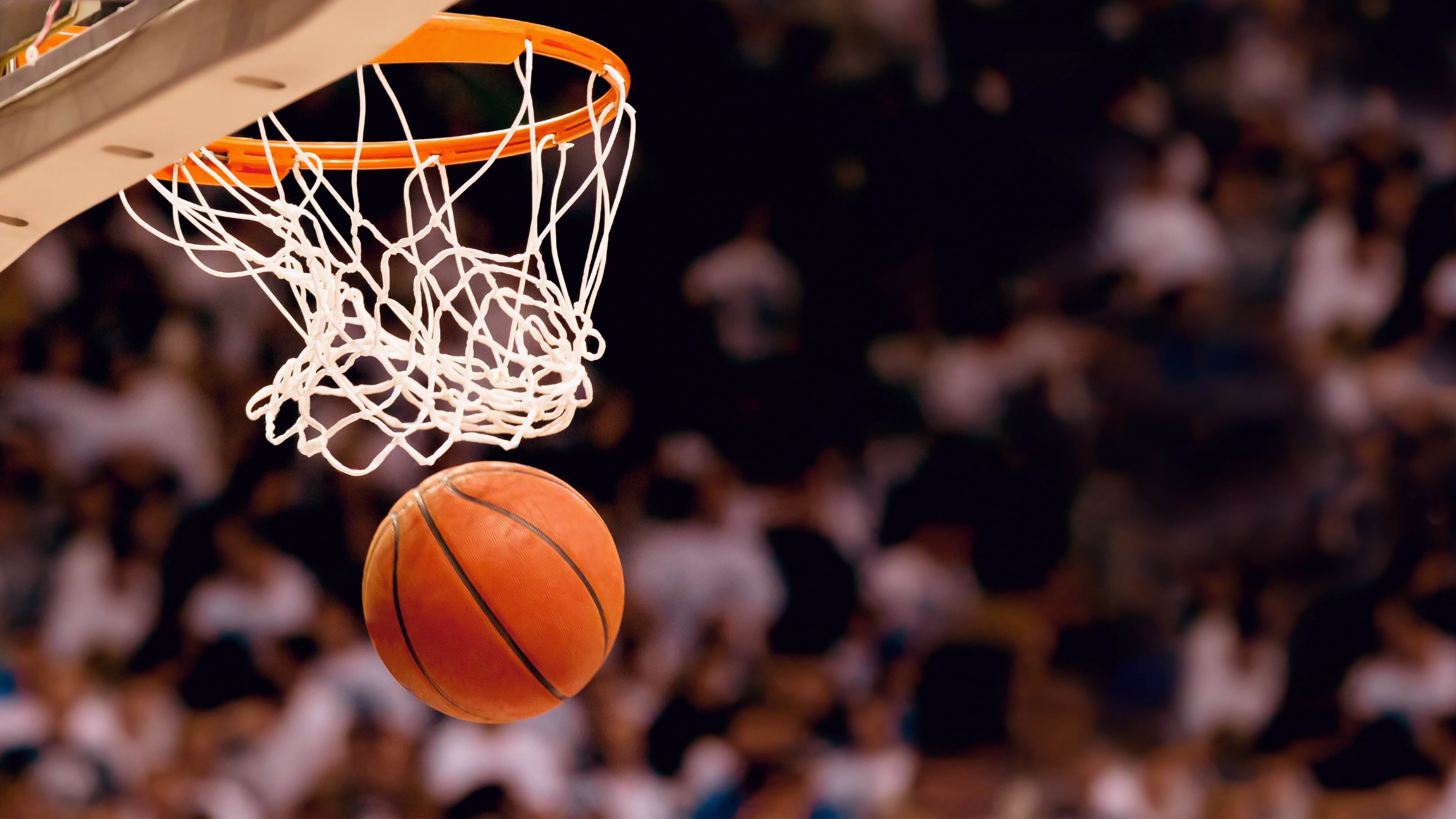 约基奇完整赛程请查收细节曝光(nba开局融合约基奇模板笔趣阁)